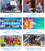 <strong>制定国内首部人工</strong>